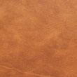 Natur 003823